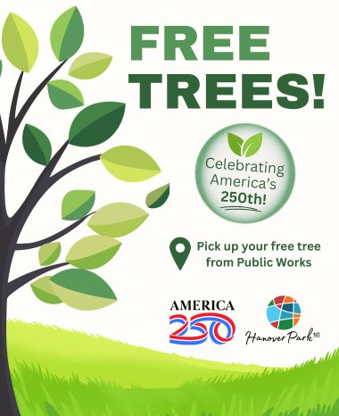 Free trees celebrating America's 250th! Pick up your free tree from Public Works. Image shows a tree and green grass.