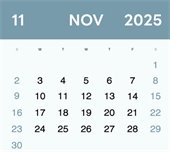 November 2025 calendar