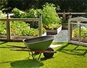 picture of wheel barrel