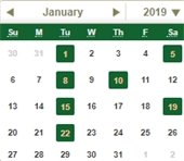 January calendar