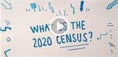 2020 US Census Logo
