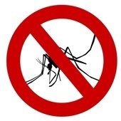 No Mosquito
