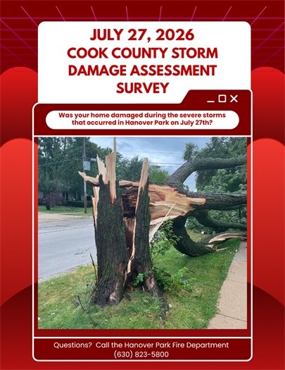 Jul 27th Cook County Storm Damage Assessment Survey - picture of a broken tree 