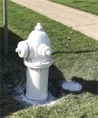 White Fire Hydrant