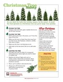 Christmas Tree Safety