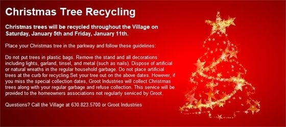 Christmas Tree Recycling