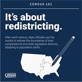 infogram with the title "It's about redistricting"