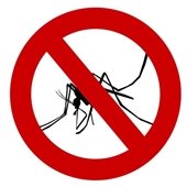 No Mosquitos