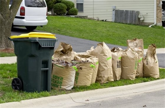 A green trash can with a yellow lid sits next to several brown paper bags filled with leaves on the side of a street.