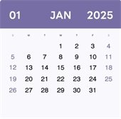 January Calendar 2025