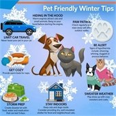 pet safety tips graphic