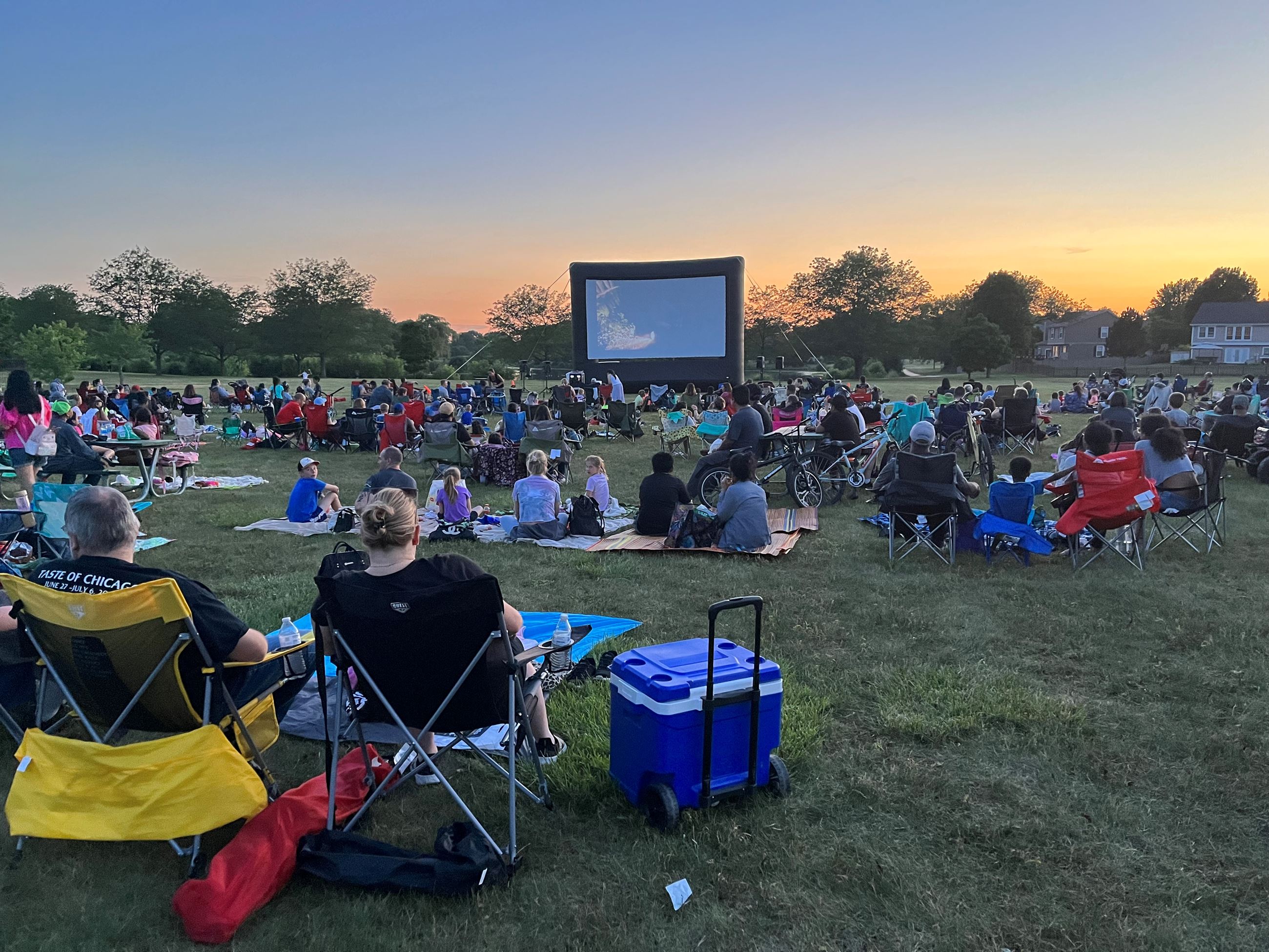 Movie in the Park photo