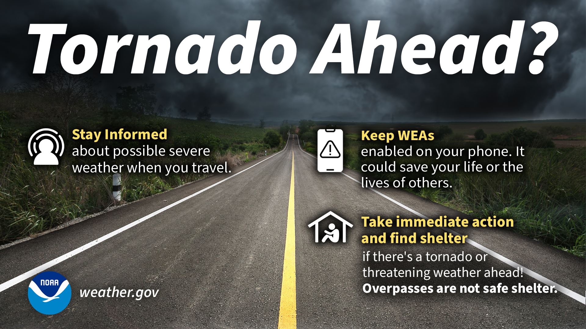 tornado_driving_2024